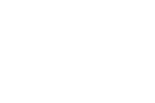 Shirt in a Box